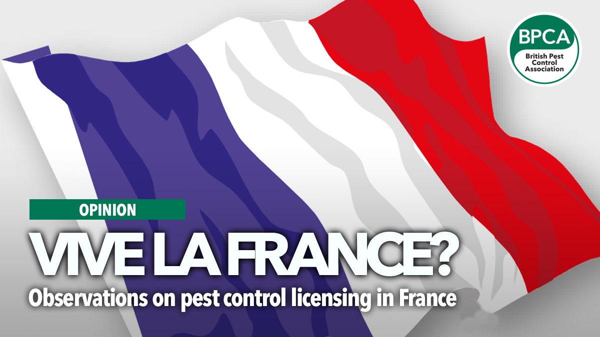 Vive-la-france-main-image Vive-la-france-main-image